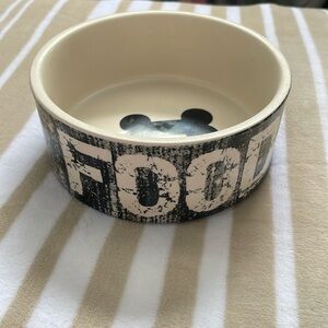 Glass Dog Food Bowl
